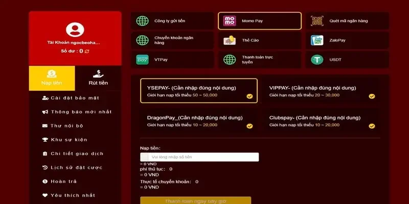 phương thức thanh toán đa dạng 33win cung cấp vô số phương thức thanh toán đa dạng